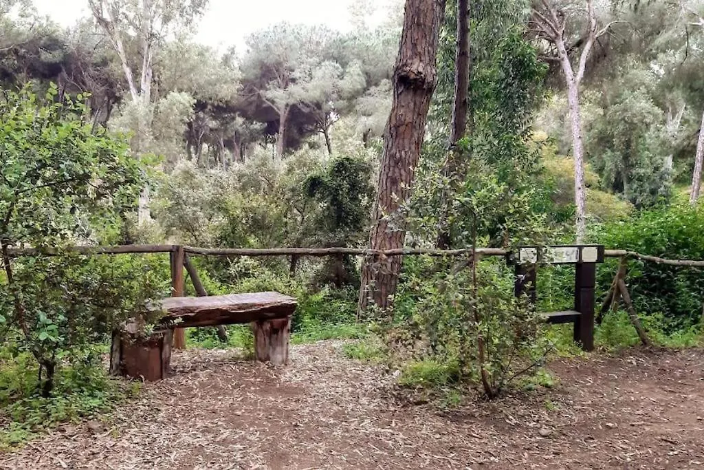 Appartamento Marbella - Mijas Costa En Primera Linea De Playa Sitio de Calahonda 0*,